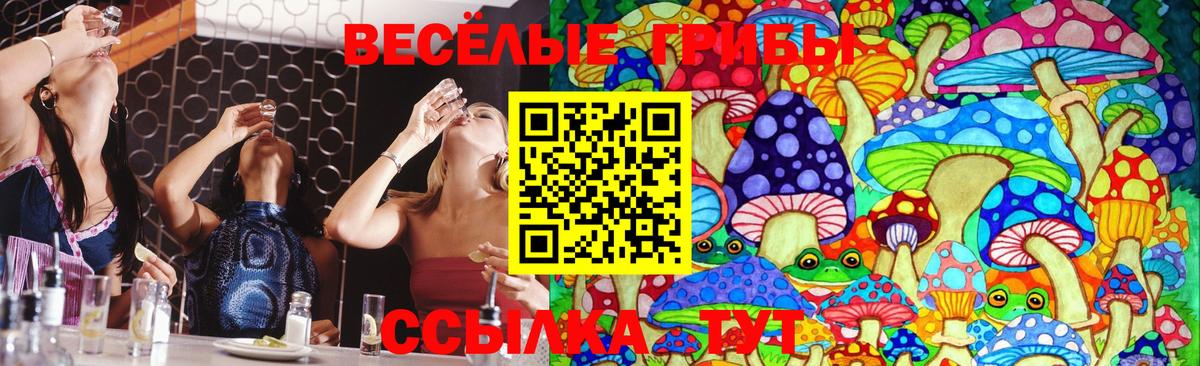 Псилоцибиновые грибы Magic Shrooms Шадринск